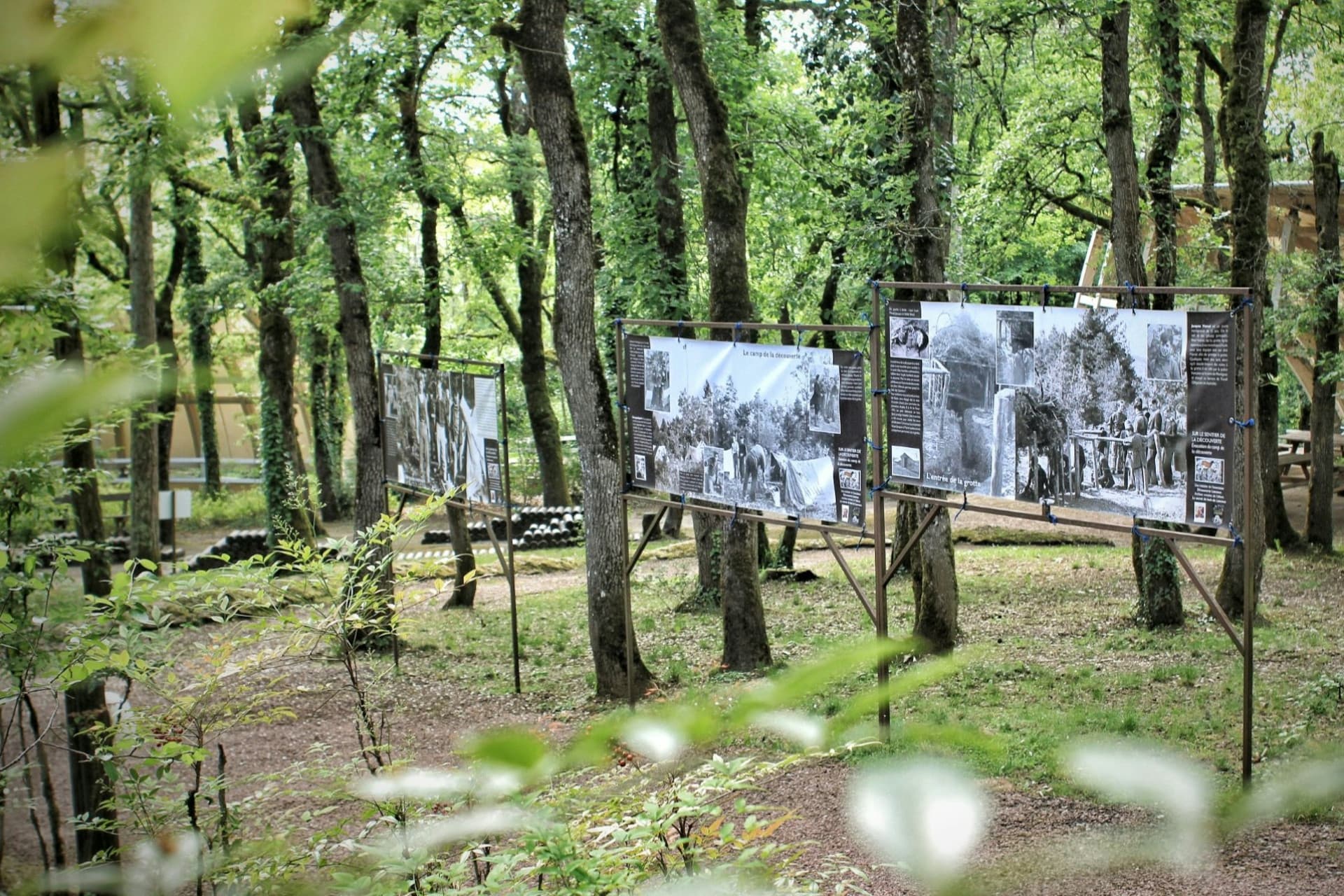 Lascaux II Guided Tour - image 4